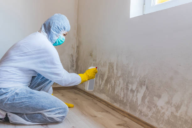 Licensed Mold Testing service in Bernardsville, NJ - WQB Mold Removal