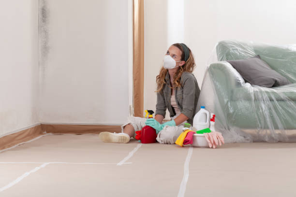 Reliable Mold Testing contractor in Bernardsville, NJ by WQB Mold Removal